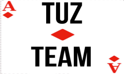 team logo