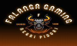 team logo