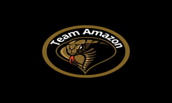 team logo