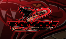 team logo