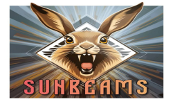 team logo