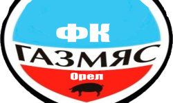 team logo