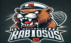 team logo