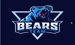 team logo