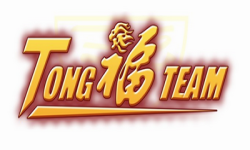 team logo