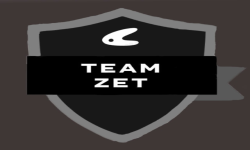 team logo