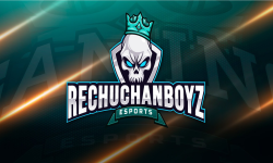 team logo