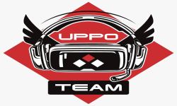 team logo