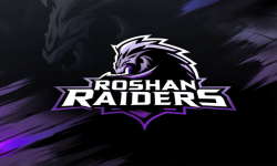 team logo