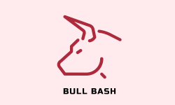 team logo