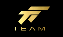 team logo