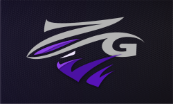 team logo