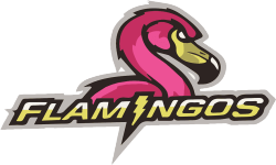 team logo