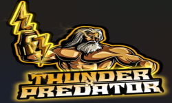 team logo