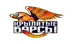 team logo