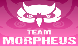 team logo