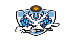 team logo