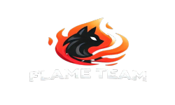 team logo