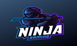 team logo