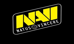 team logo
