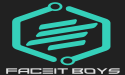 team logo