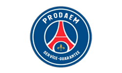 team logo