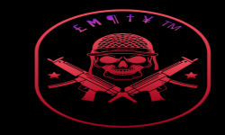 team logo