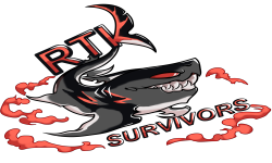 team logo