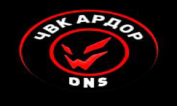 team logo