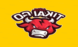 team logo