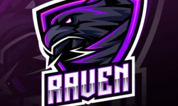 team logo