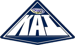 team logo