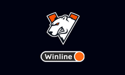 team logo