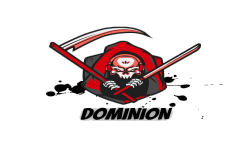 team logo