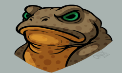 team logo