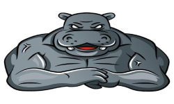 team logo