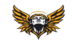 team logo