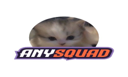 team logo