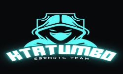 team logo