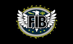 team logo